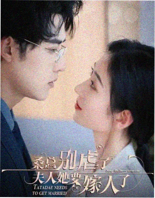 灯火里的城 热播剧集免费追
